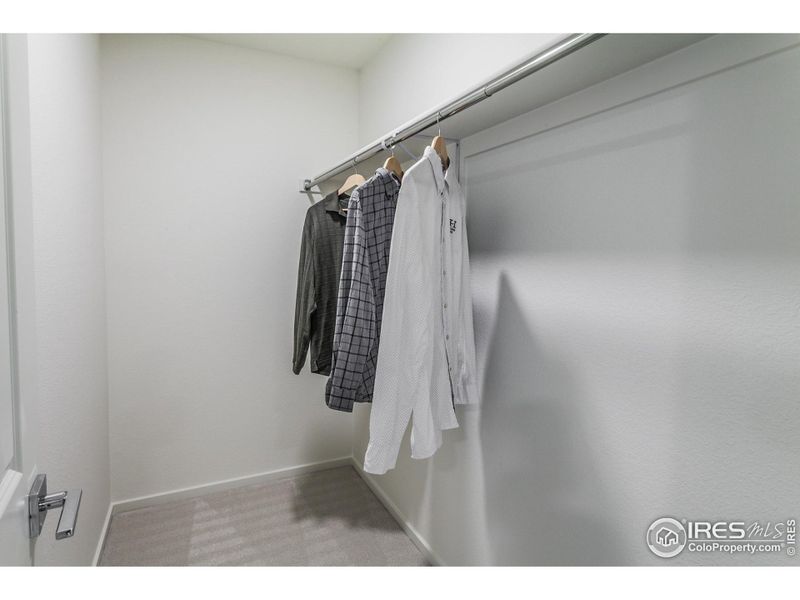 EXAMPLE PHOTO: WALK IN CLOSET