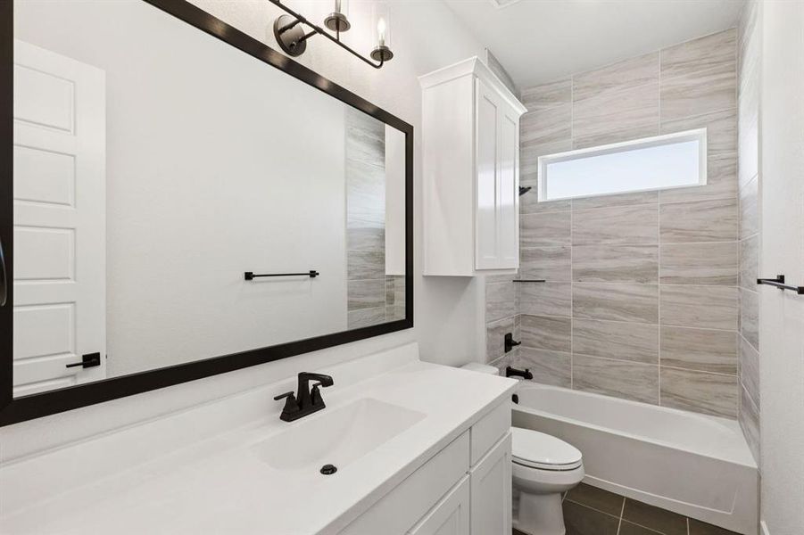 15-121Swan_015 15-121Swan_015