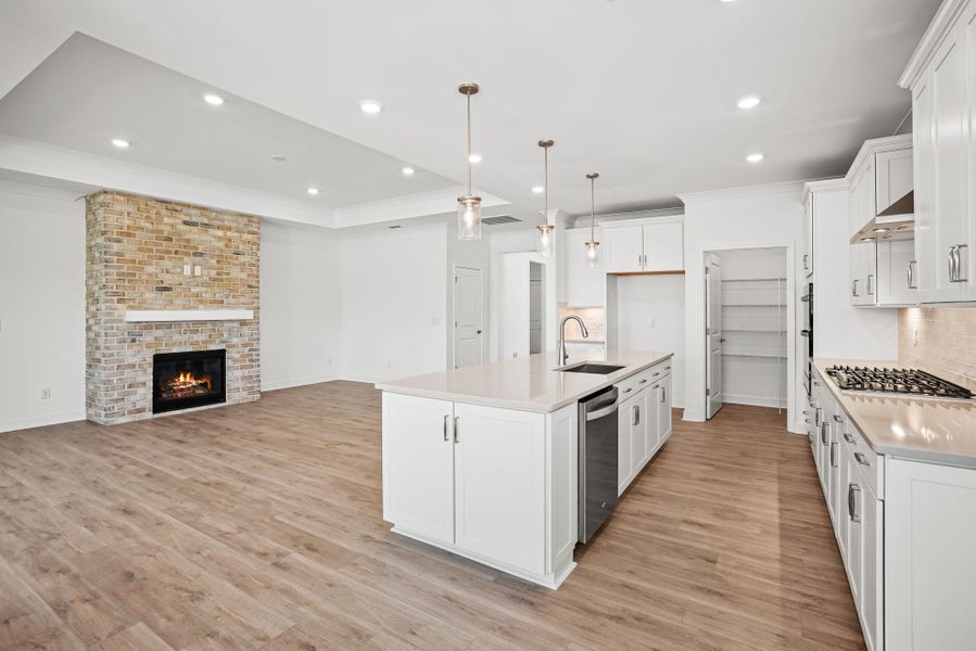 Furnished interior view inside a new home in Carolina Riverside, Belmont (Image 46).