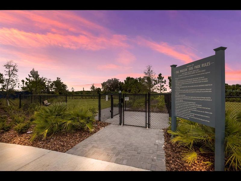 Community amenities in , Sarasota (Image 36).