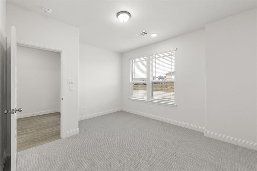 Garland_13_Representative Photo