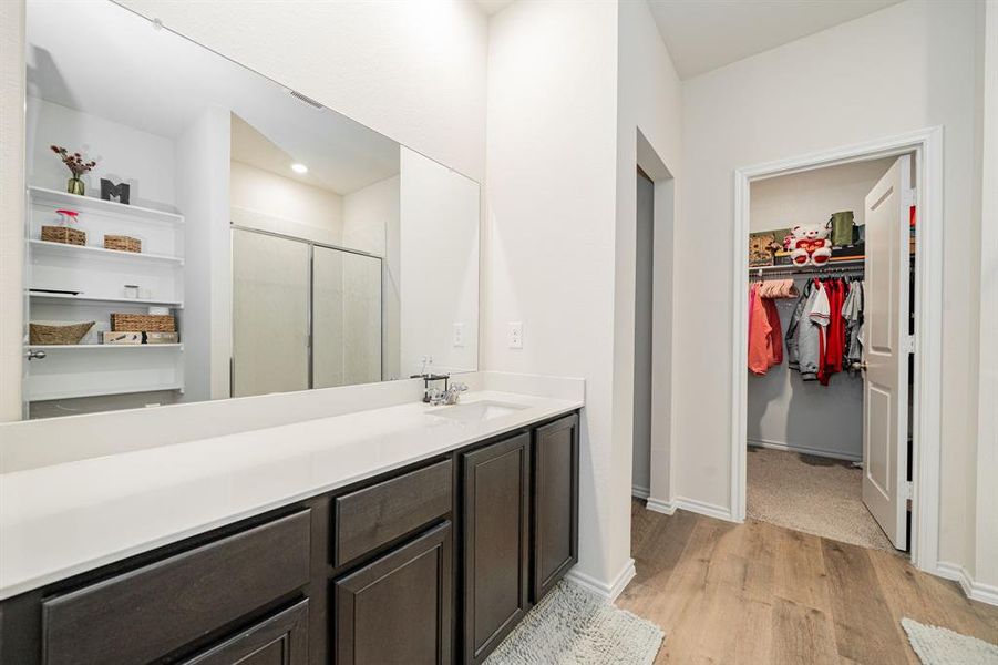 Bathroom featuring a walk in closet, a stall shower, and vanity Bathroom featuring a walk in closet, a stall shower, and vanity
