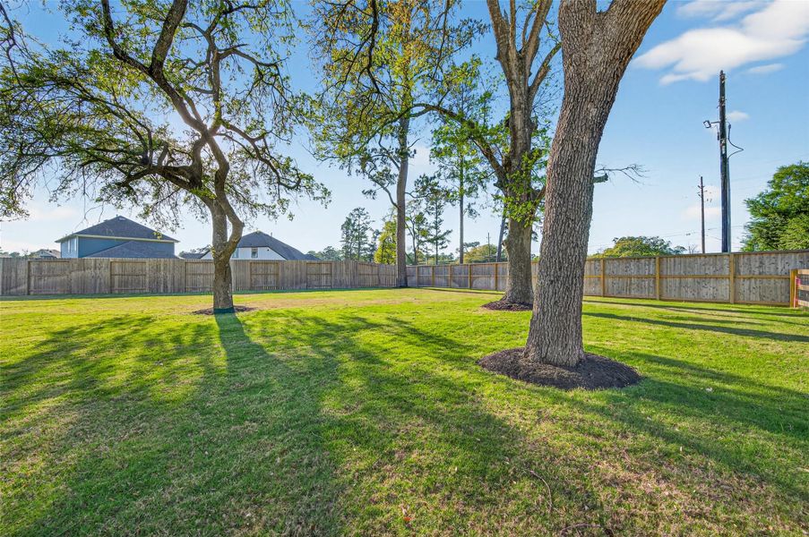 Natural landscape and outdoor views near Sorella in Tomball (Image 49).