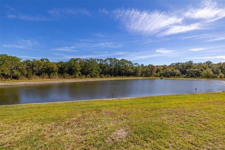 Natural landscape and outdoor views near Storey Lake: Vacation Townhomes in Kissimmee (Image 58). Natural landscape and outdoor views near Storey Lake: Vacation Townhomes in Kissimmee (Image 58).