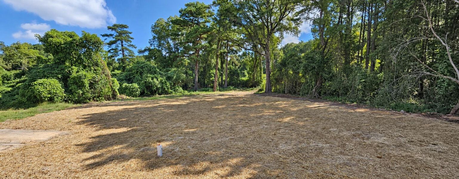 Natural landscape and outdoor views near  in Eutawville (Image 10).
