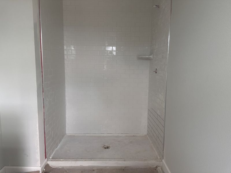 Primary Shower