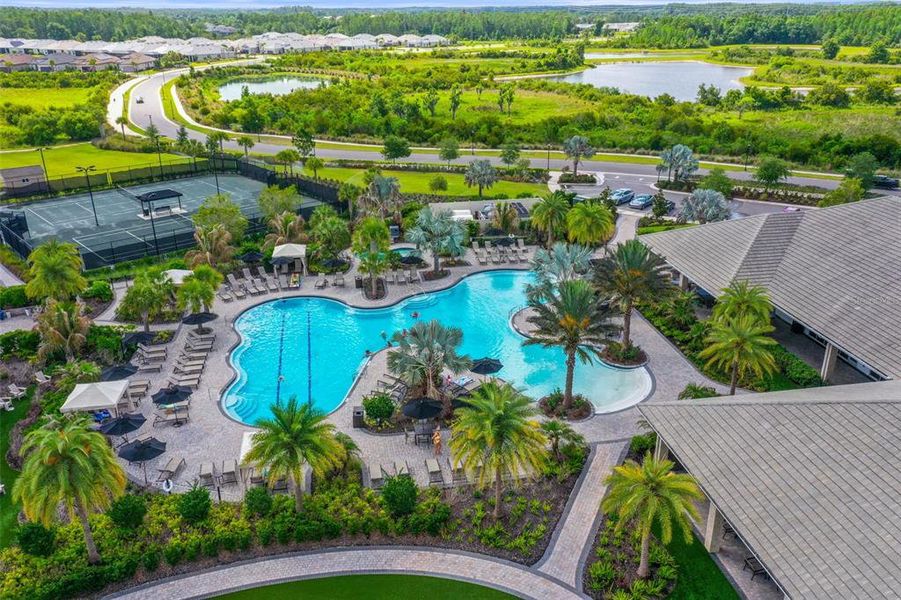 Community amenities in , Wesley Chapel (Image 61).