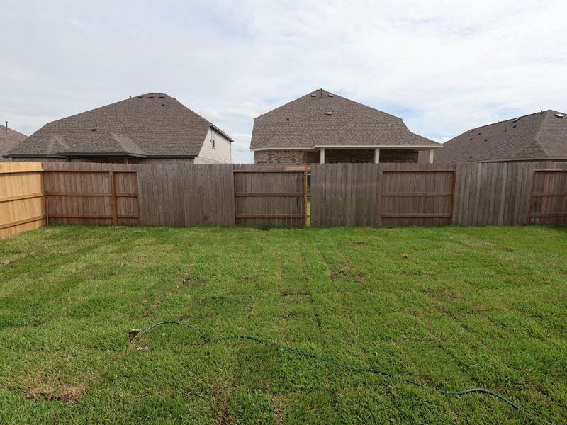 Backyard