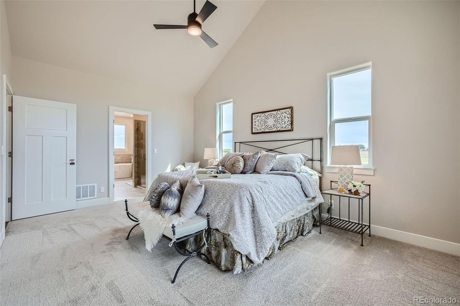 Master Bedroom adjoining the Master Bath.