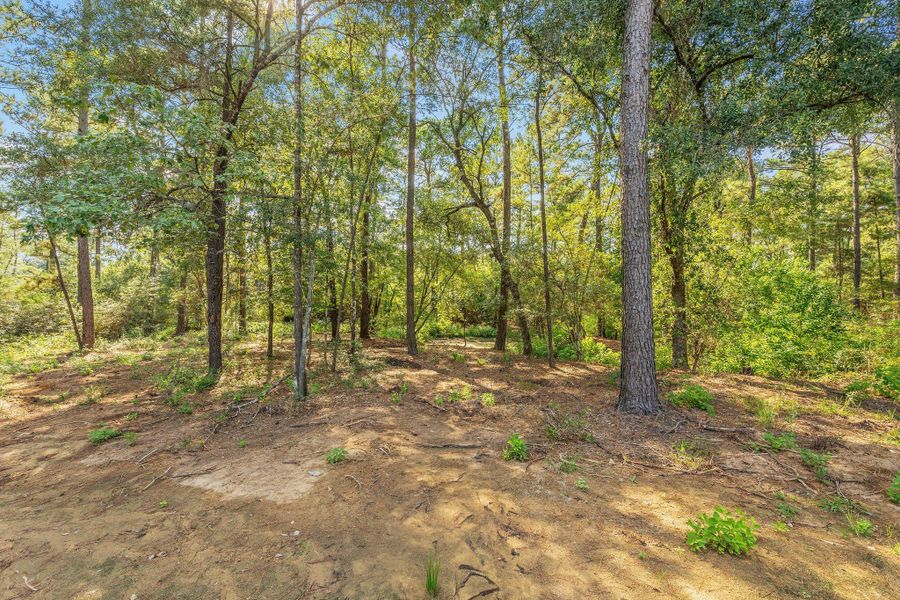 Image 25 of a home in The Cedars.