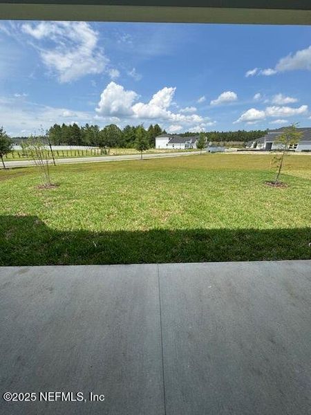 Natural landscape and outdoor views near  in St. Augustine (Image 19).
