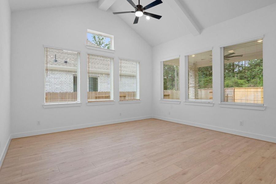 representative photo