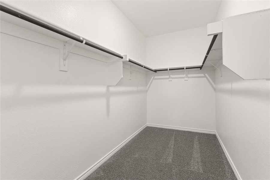 Walk in closet with carpet floors