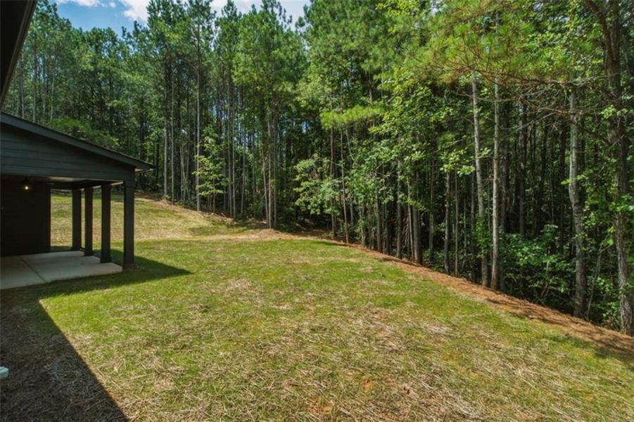 Natural landscape and outdoor views near  in Talking Rock (Image 46).