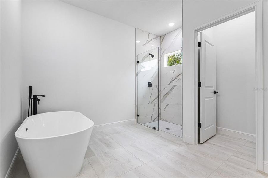 Master Bath - Tub and Shower