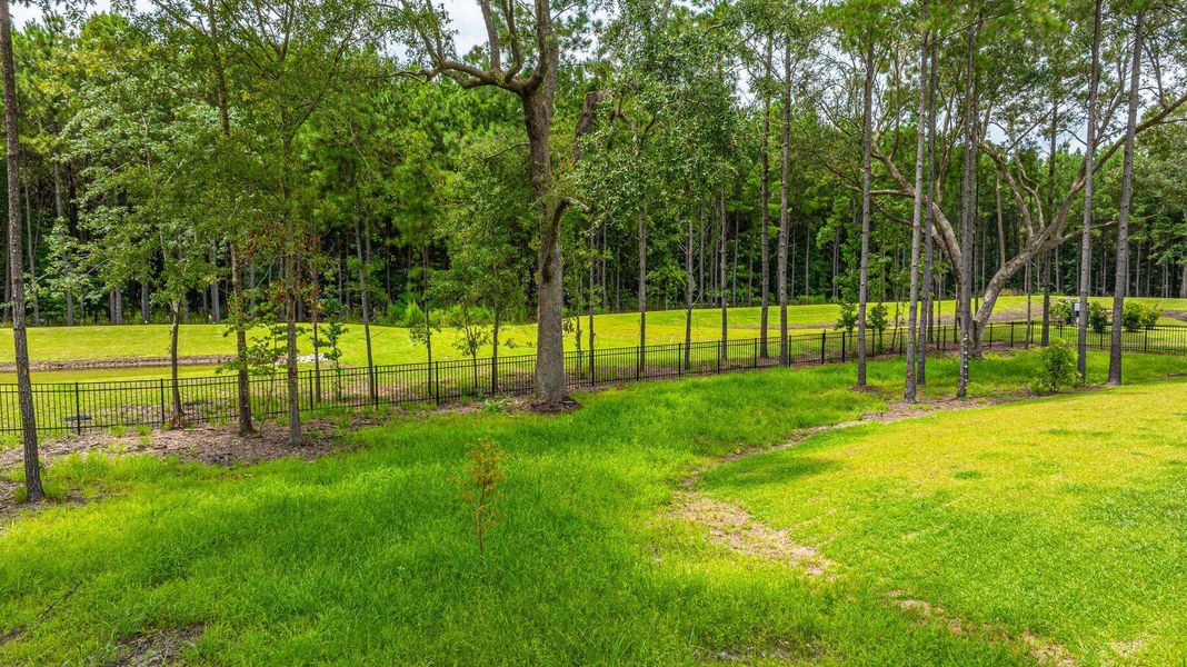 Natural landscape and outdoor views near Sea Island Preserve in Johns Island (Image 46). Natural landscape and outdoor views near Sea Island Preserve in Johns Island (Image 46).