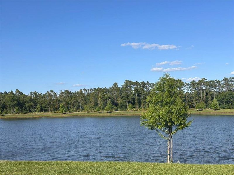 Natural landscape and outdoor views near Havenfield at Crossprairie in St. Cloud (Image 60).