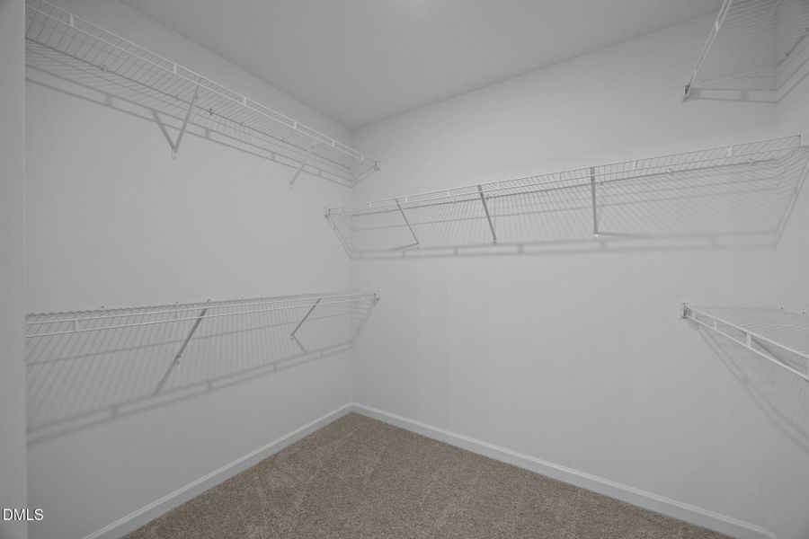 30-web-or-mls-IMG_2656