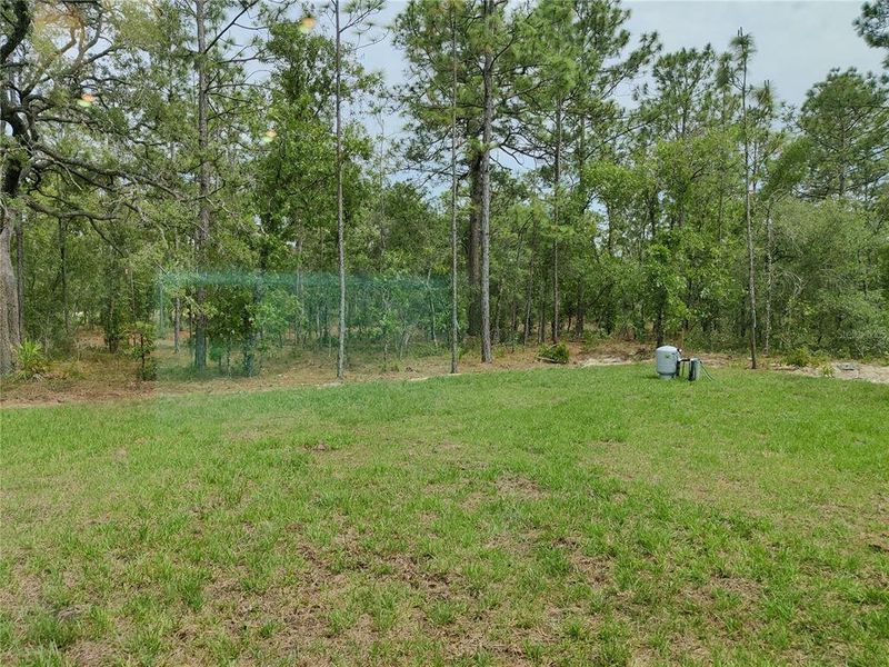Natural landscape and outdoor views near Royal Highlands in Weeki Wachee (Image 13). Natural landscape and outdoor views near Royal Highlands in Weeki Wachee (Image 13).