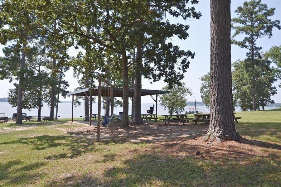 Natural landscape and outdoor views near  in Trinity (Image 21).