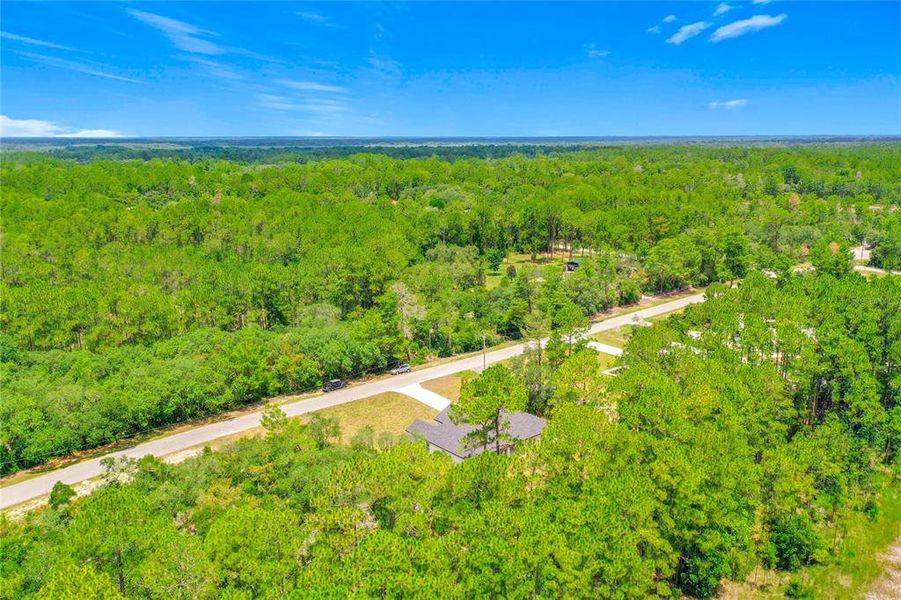 Natural landscape and outdoor views near in Eustis (Image 59). Natural landscape and outdoor views near in Eustis (Image 59).