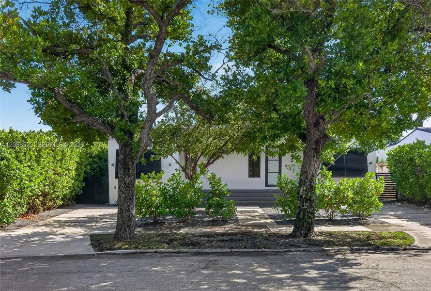 Natural landscape and outdoor views near  in Miami (Image 37).
