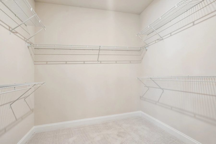 Primary Walk-in Closet