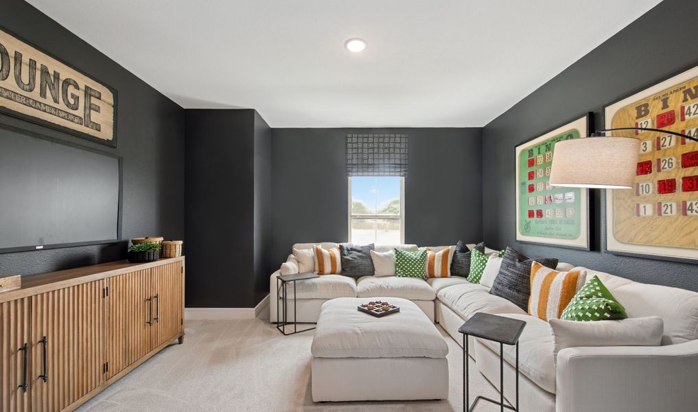 Media room with plush carpeting Media room with plush carpeting