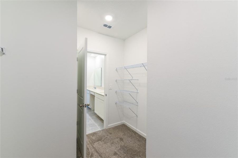 Spacious, unfurnished interior of a new home in , Davenport (Image 24).