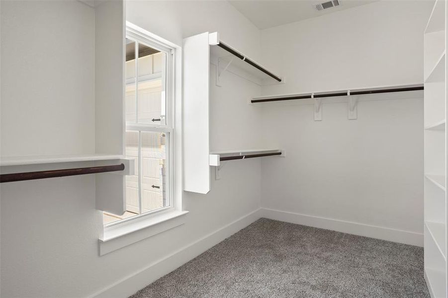 Spacious closet featuring carpet floors