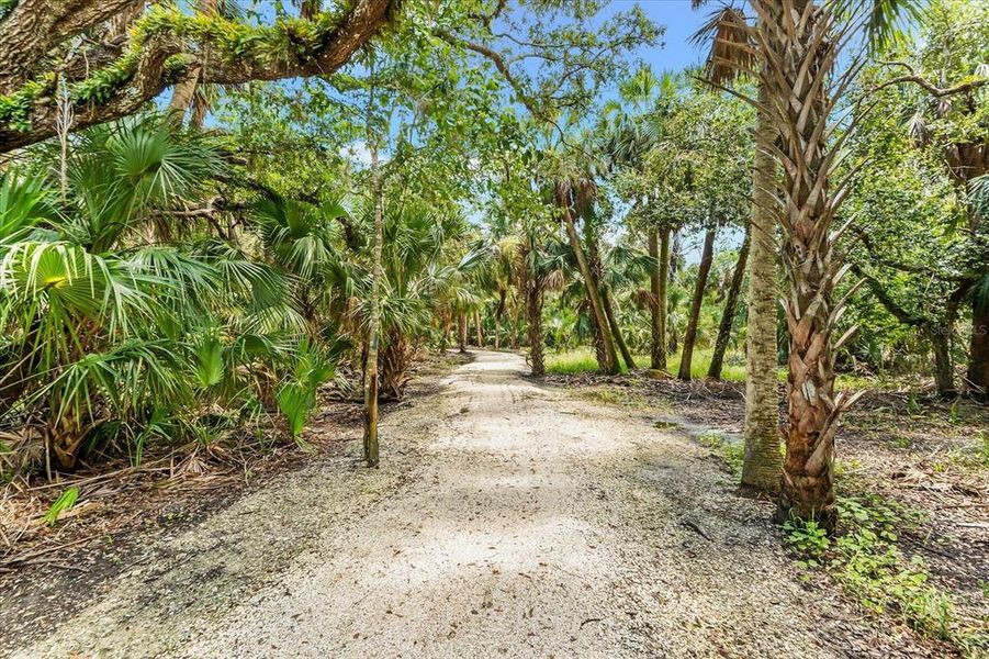 Natural landscape and outdoor views near  in Sarasota (Image 65).