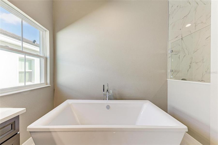Close-up of interior finishes inside a home in North River Ranch, Parrish (Image 13).