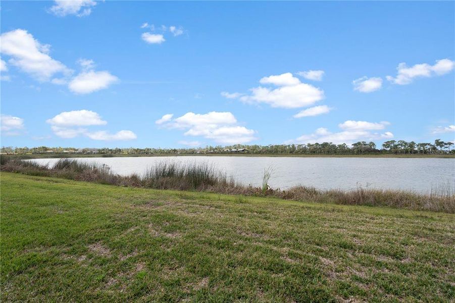 Natural landscape and outdoor views near in Punta Gorda (Image 65). Natural landscape and outdoor views near in Punta Gorda (Image 65).