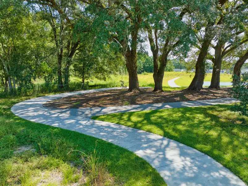 Natural landscape and outdoor views near in Summerville (Image 29). Natural landscape and outdoor views near in Summerville (Image 29).