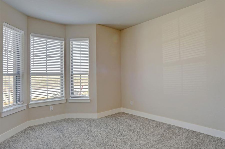 Unfurnished room with carpet floors