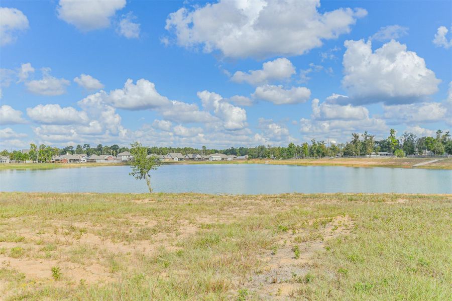 19 Acre Pond - Directly Behind The Property 19 Acre Pond - Directly Behind The Property