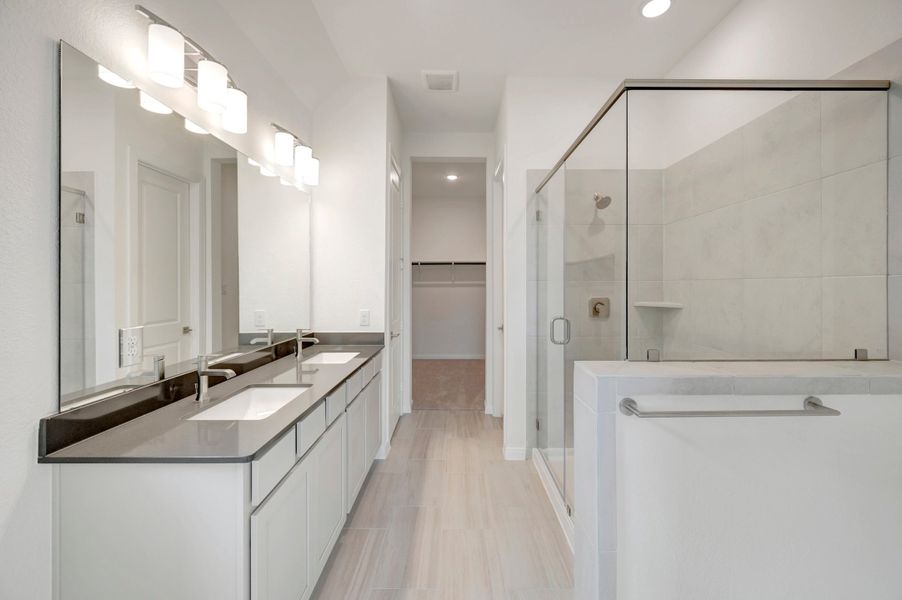 Owner's Bath