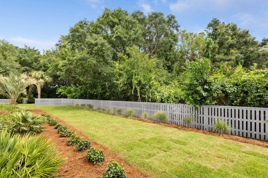 Natural landscape and outdoor views near in Sullivan's Island (Image 65). Natural landscape and outdoor views near in Sullivan's Island (Image 65).