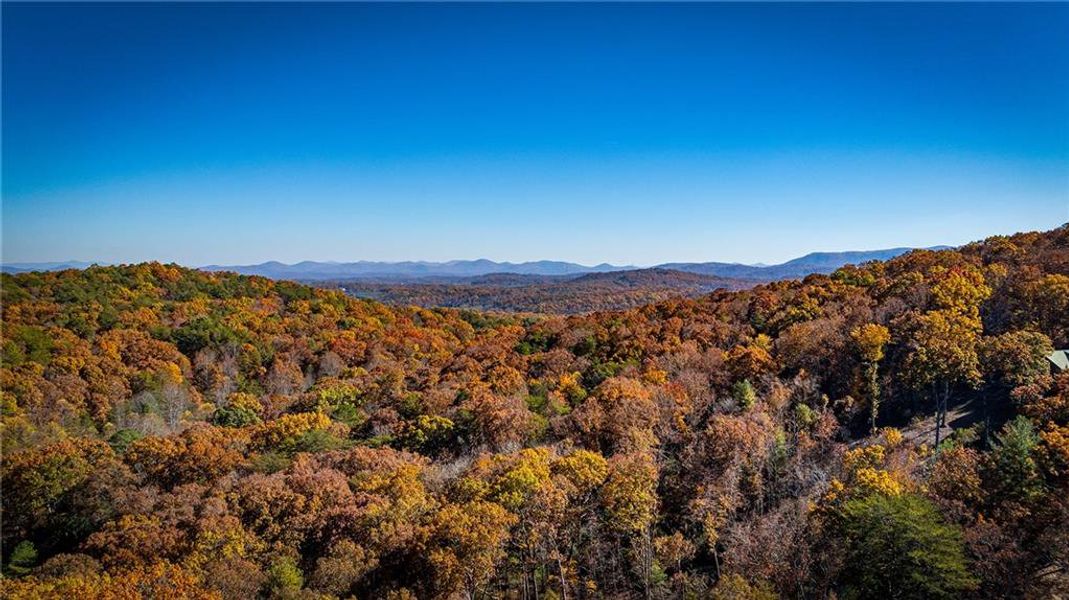 Natural landscape and outdoor views near  in Blue Ridge (Image 47).