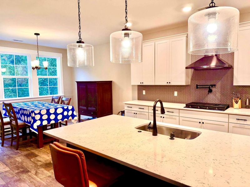 Furnished interior view inside a new home in , Mount Pleasant (Image 3).