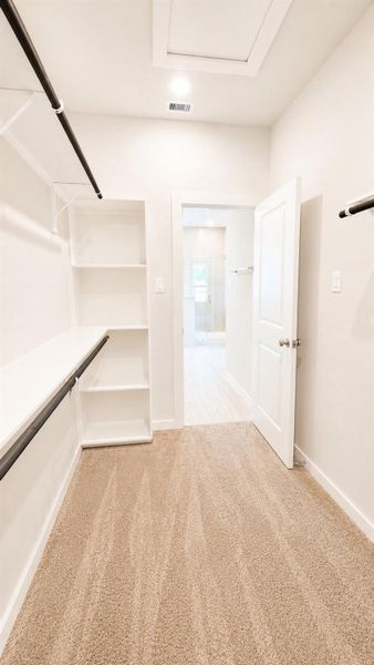 Spacious, unfurnished interior of a new home in Emberly  45', Beasley (Image 39).