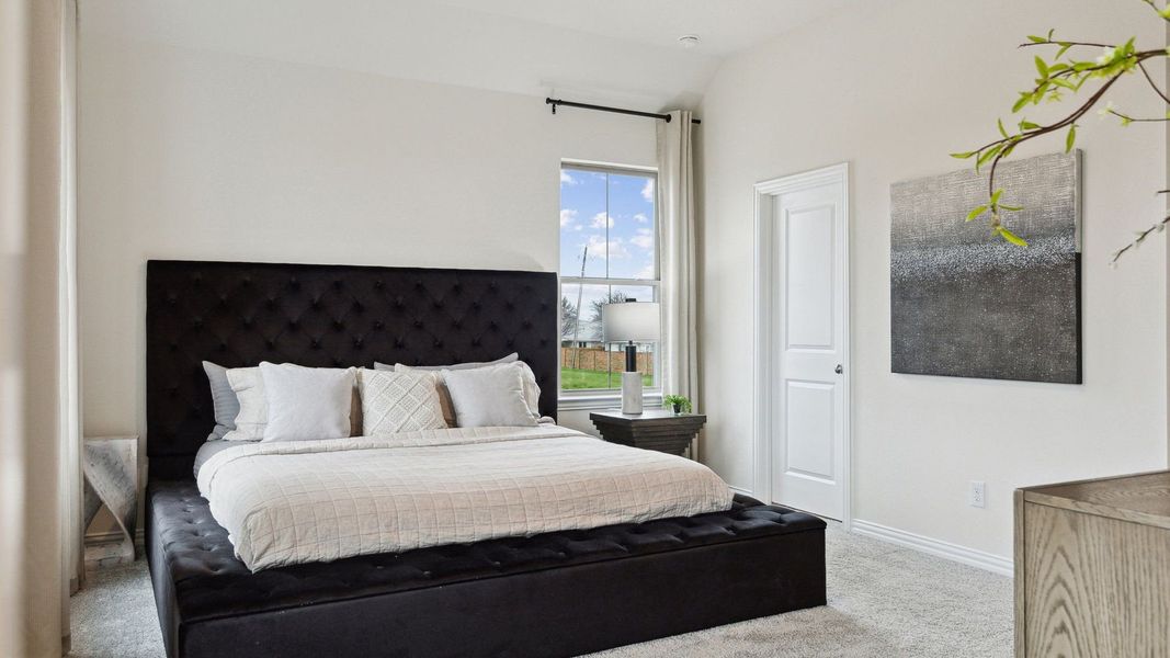 Owner's Suite Owner's Suite