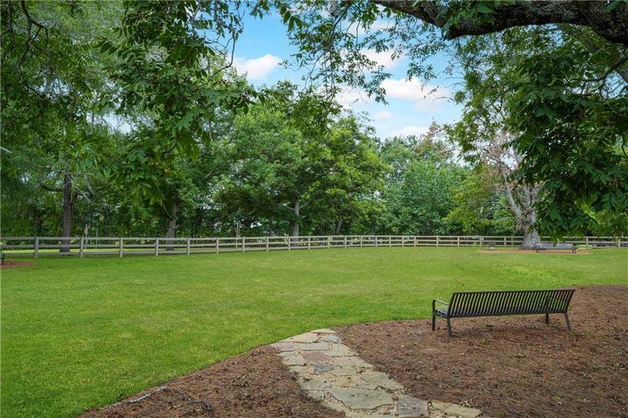 Natural landscape and outdoor views near Trove in Watkinsville (Image 5). Natural landscape and outdoor views near Trove in Watkinsville (Image 5).