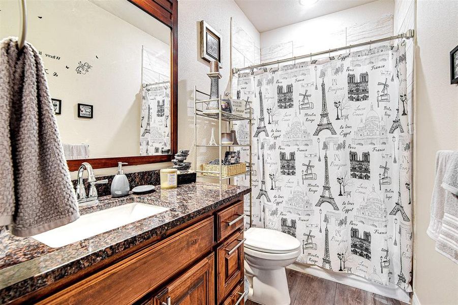 Bathroom featuring hardwood / wood-style floors, vanity, toilet, and a shower with curtain