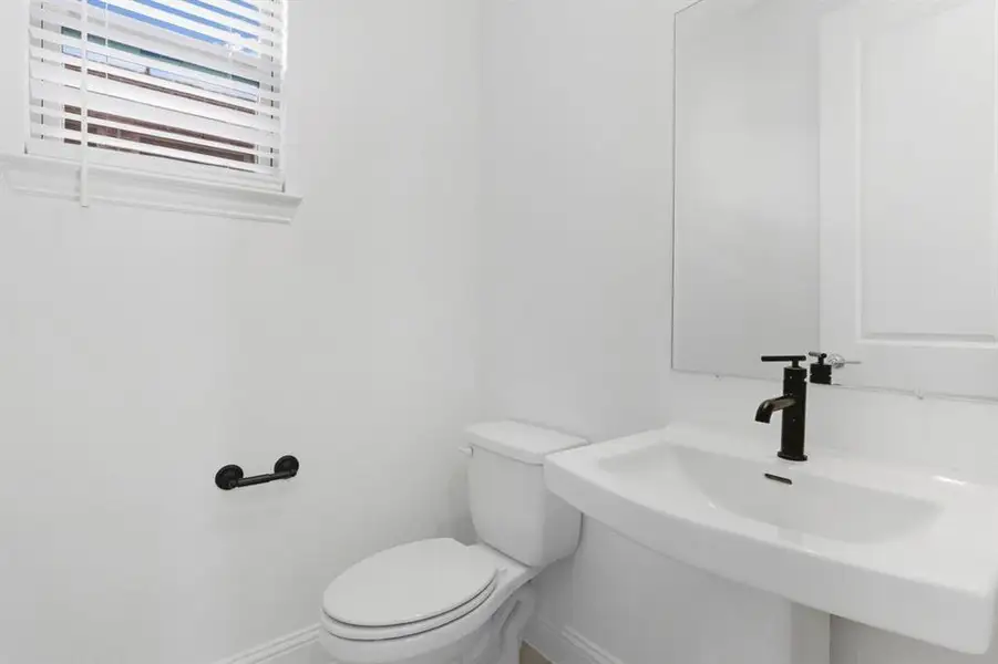 1008 Rainshower ~ Ready Now 1008 Rainshower ~ Ready Now