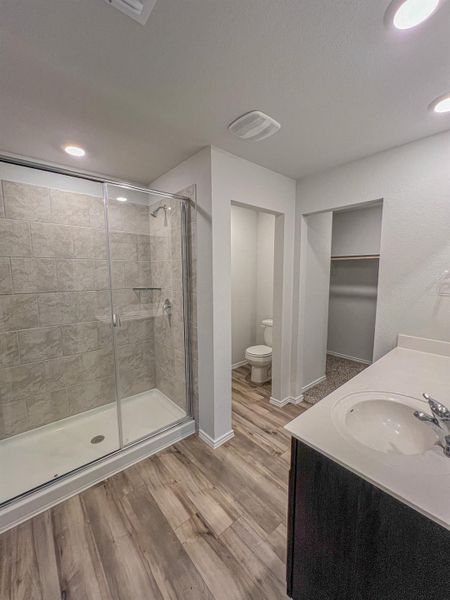 Primary bathroom with recessed lighting, a shower stall, vanity, a walk in closet, and light wood-type flooring