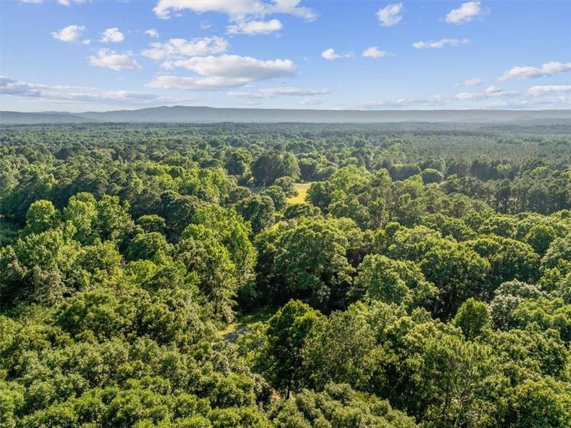 Natural landscape and outdoor views near in Resaca (Image 30). Natural landscape and outdoor views near in Resaca (Image 30).