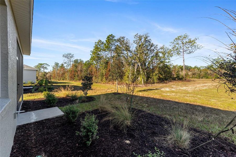 Exterior details and patio area of a home in , Ocala (Image 27). Exterior details and patio area of a home in , Ocala (Image 27).