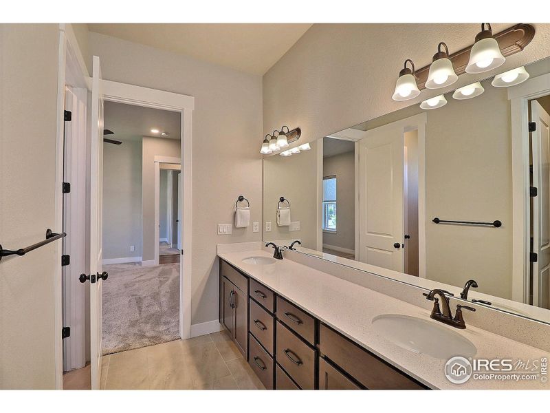 Dual Sink Vanity