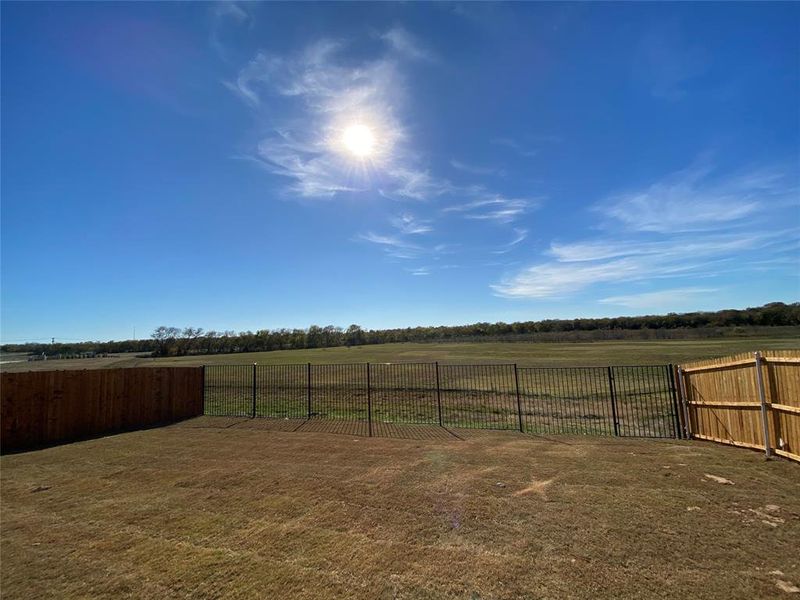 Nice back yard has wood privacy fence on the sides & 6 ft iron fence with gate at the rear to maximize view of vast nature area!